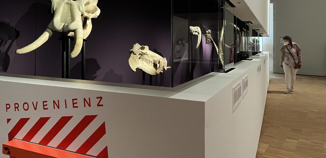 Raumansicht Provenienz